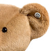 Signature Bear