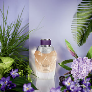 Beyond The Collection - Mellow Heliotrope