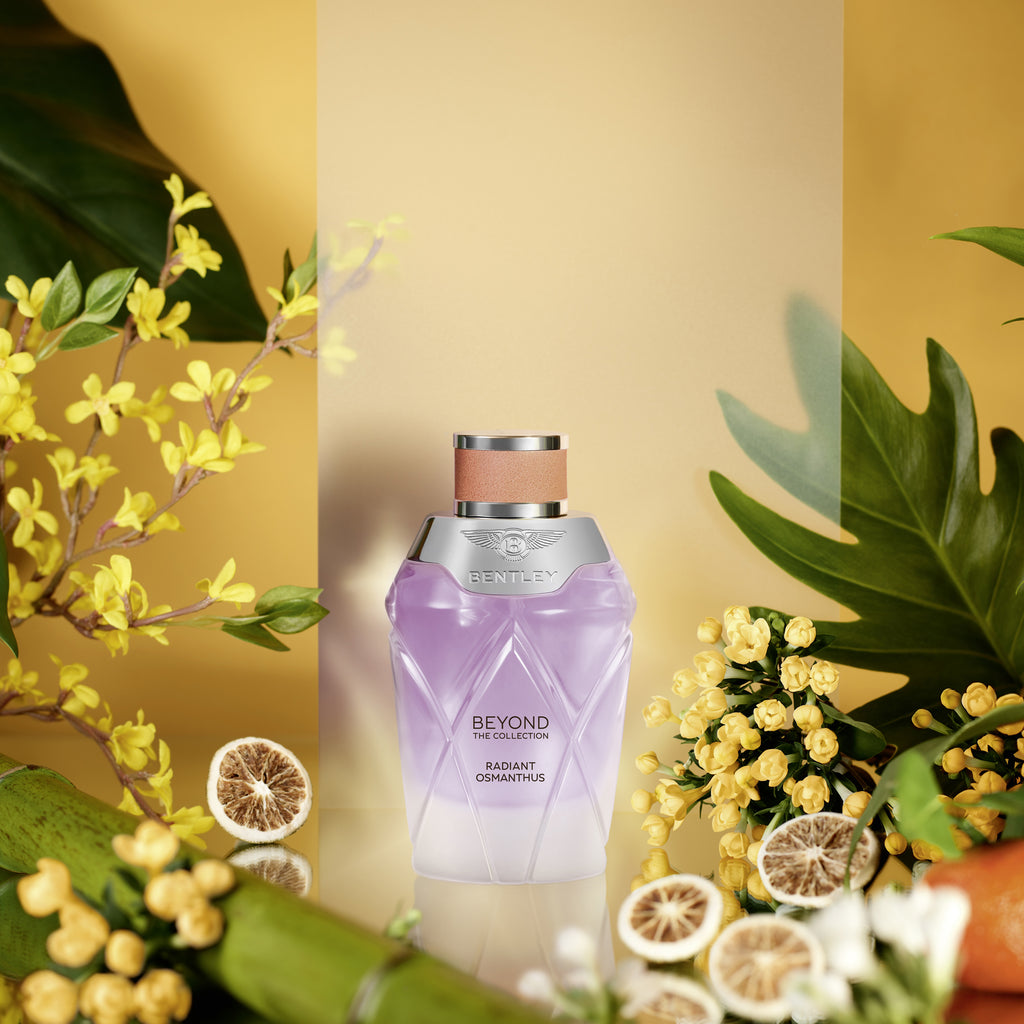 Beyond The Collection - Radiant Osmanthus – The Bentley Collection