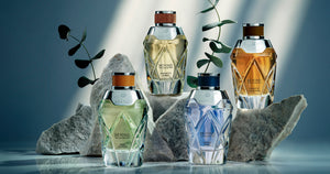 Beyond The Collection Fragrance