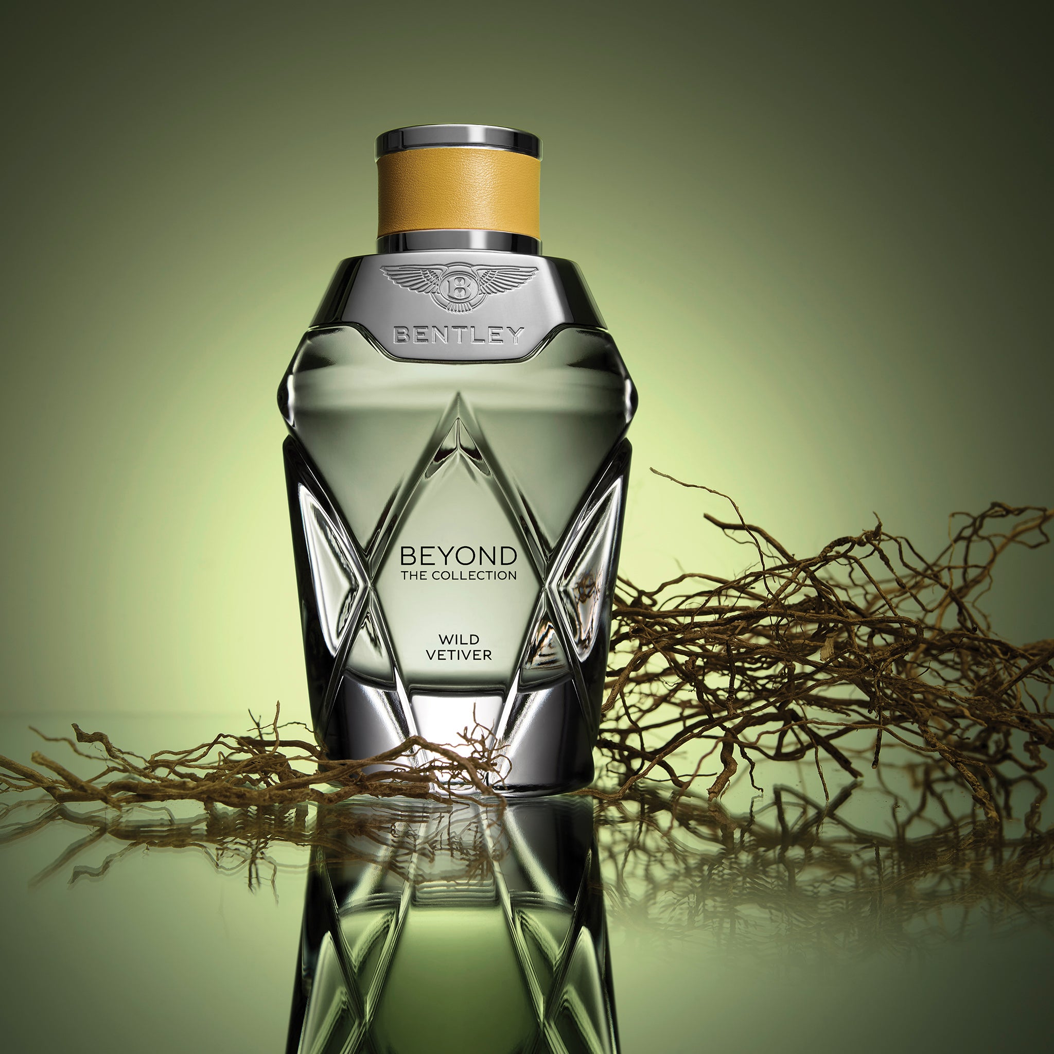 Beyond the Collection - Wild Vetiver