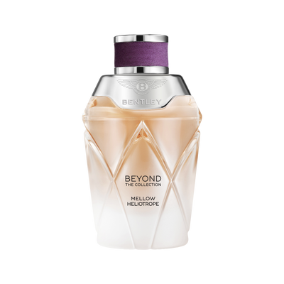 Beyond The Collection - Mellow Heliotrope