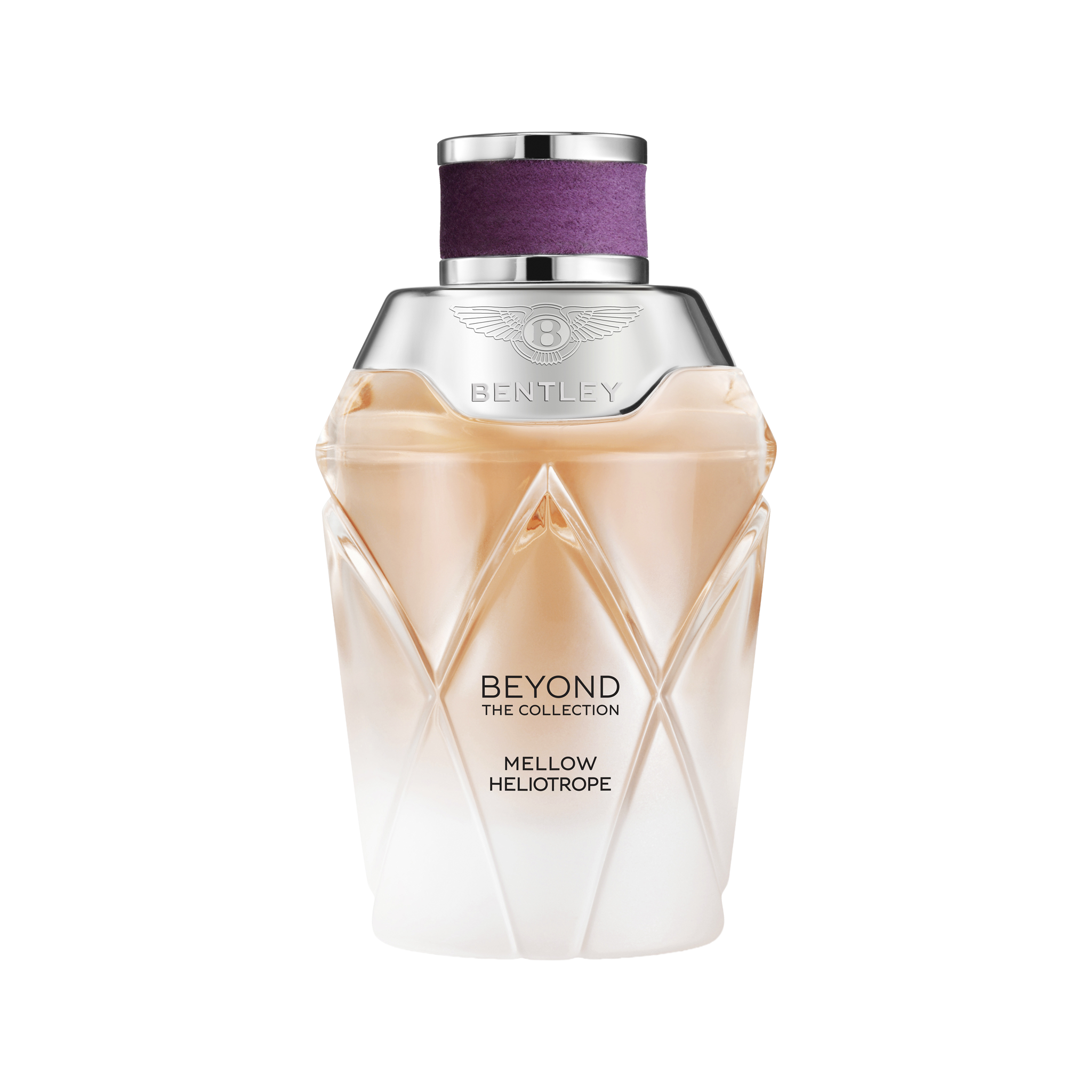 Beyond The Collection - Mellow Heliotrope