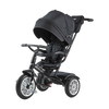 6-in-1 Trike