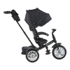 6-in-1 Trike