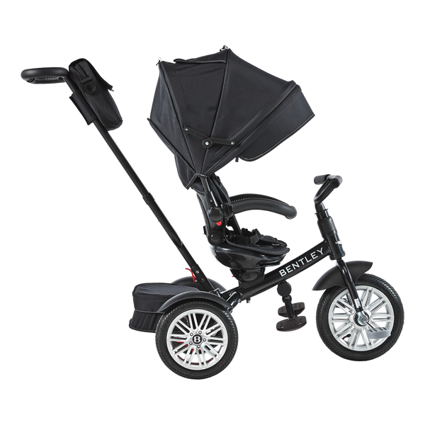 6-in-1 Trike