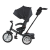 6-in-1 Trike