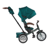 6-in-1 Trike
