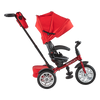 6-in-1 Trike