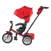 6-in-1 Trike