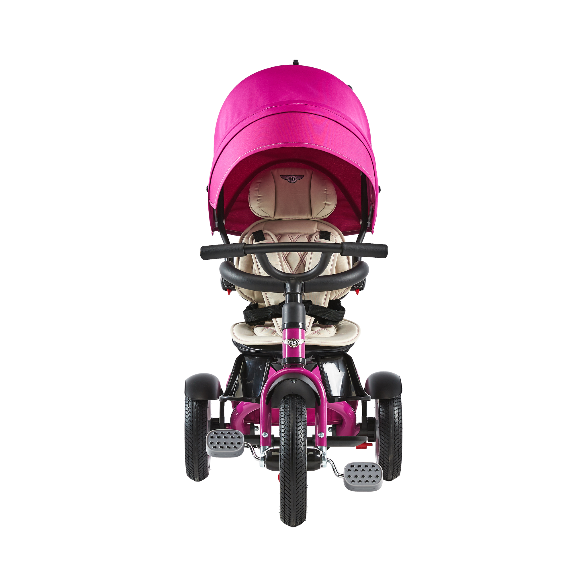 6-in-1 Trike