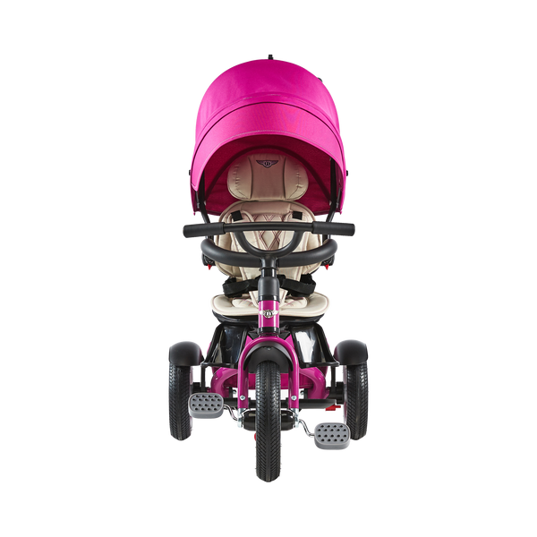 6-in-1 Trike