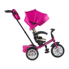 6-in-1 Trike