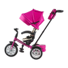 6-in-1 Trike