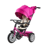 6-in-1 Trike
