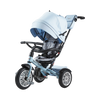 6-in-1 Trike