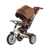 6-in-1 Trike