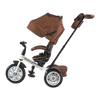6-in-1 Trike