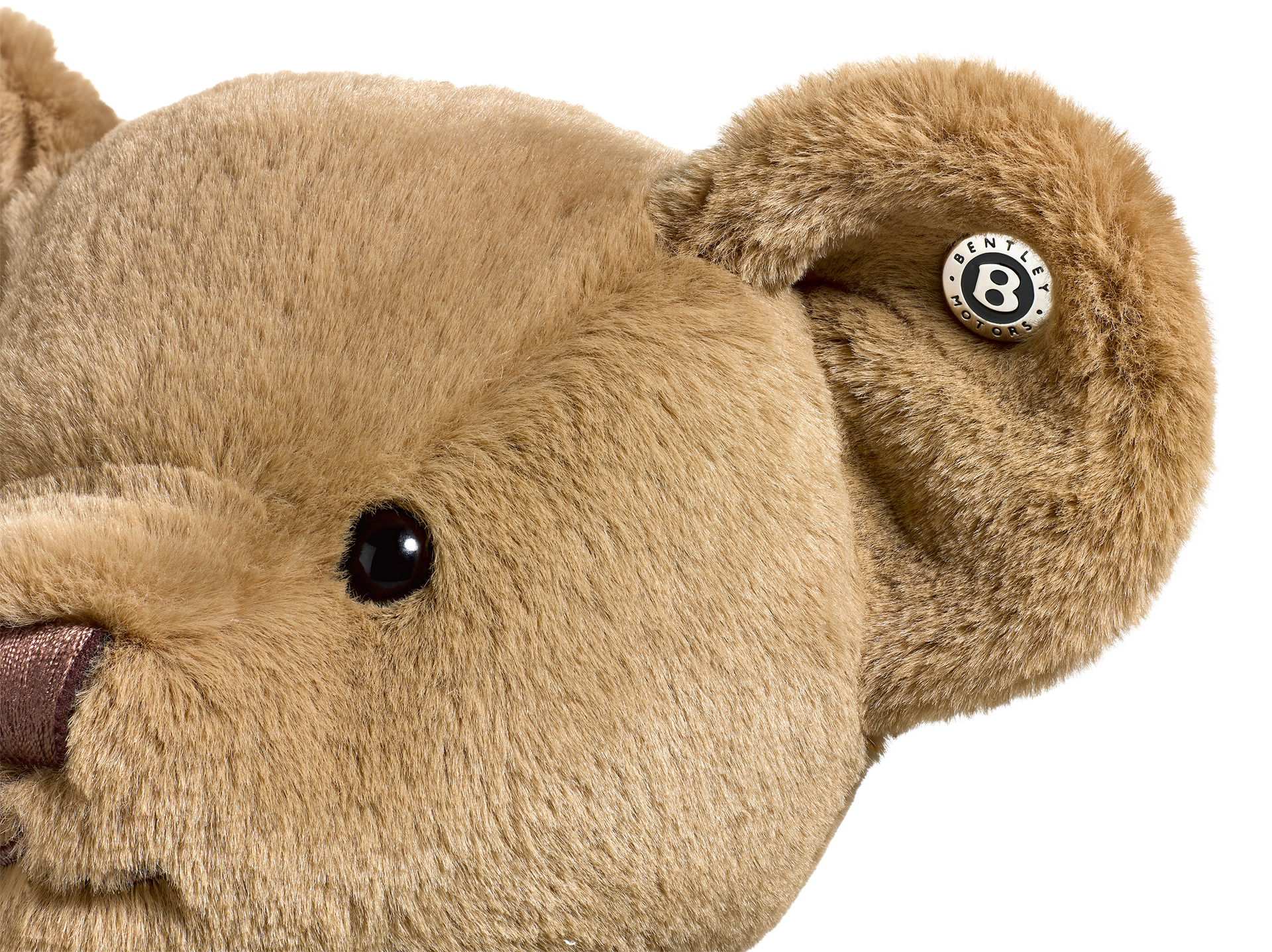 Signature Bear – The Bentley Collection