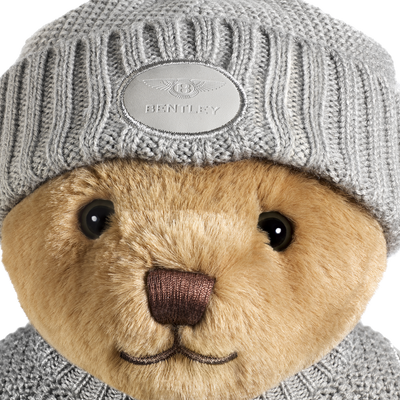 Cosy Knit Bear