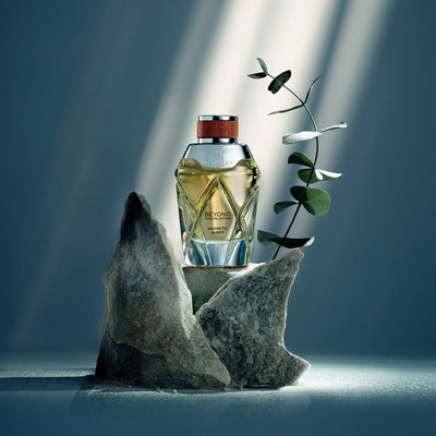 Beyond the Collection - Magnetic Amber