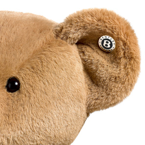 Signature Bear