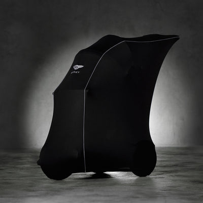Trike Protective Cover