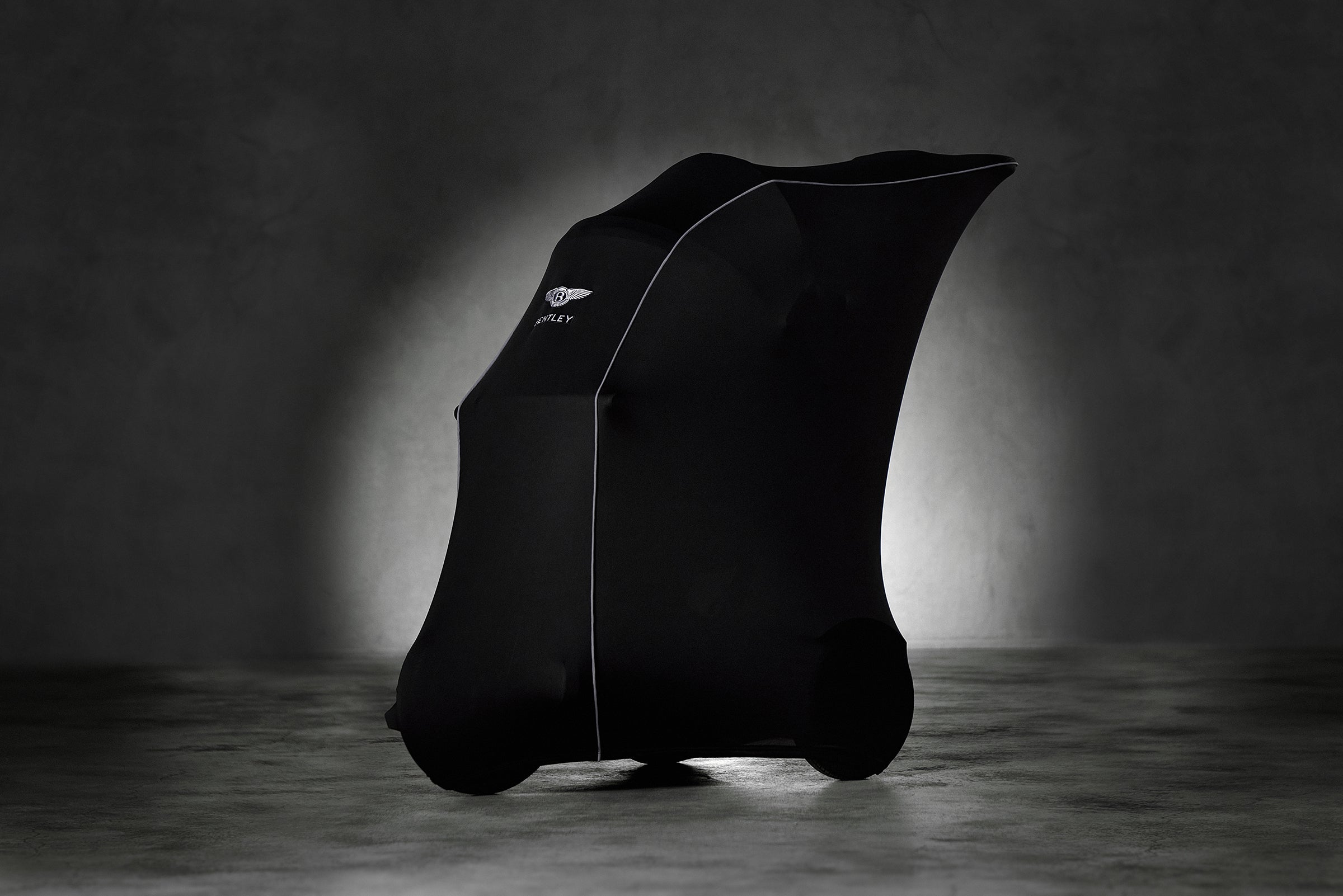Trike Protective Cover