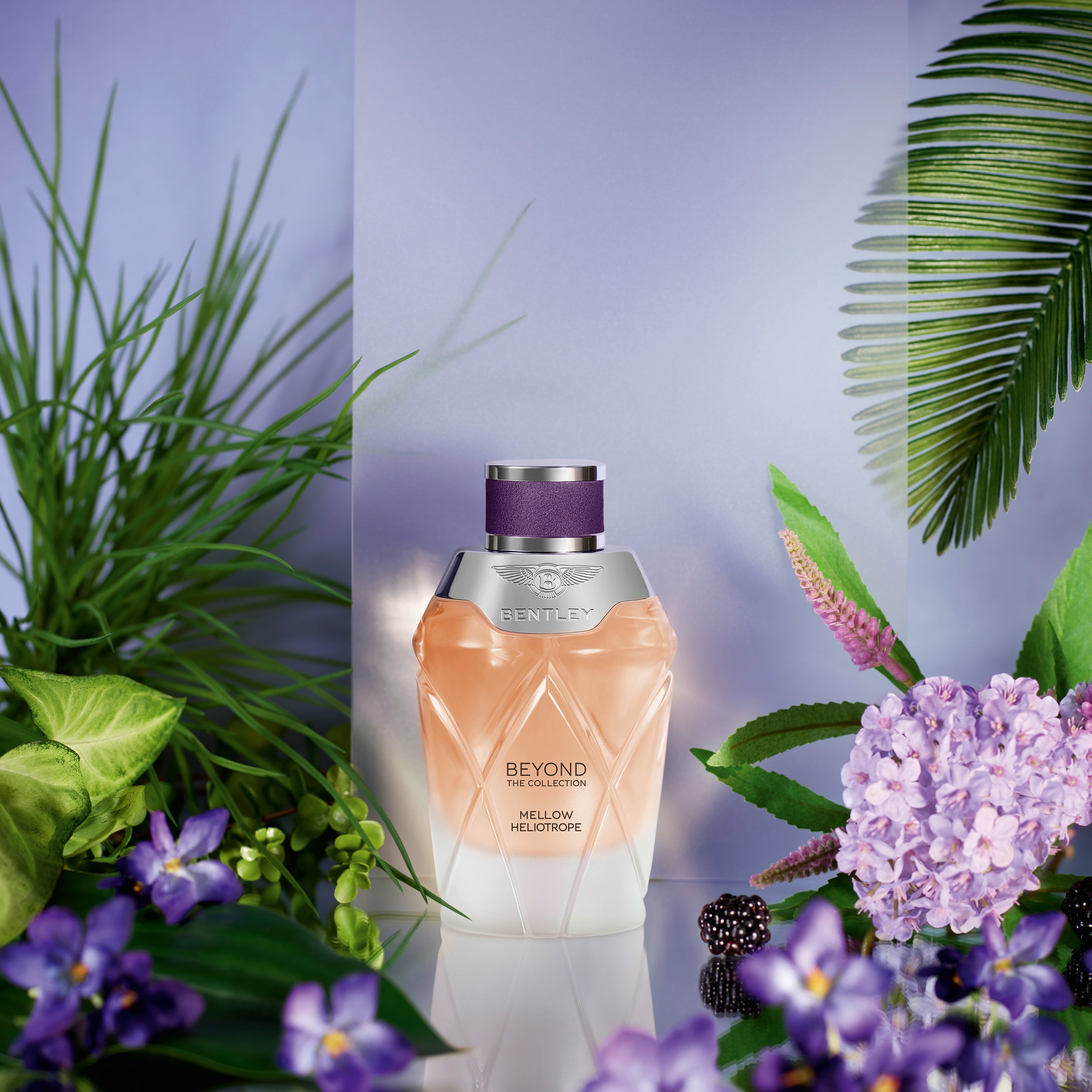 Beyond The Collection - Mellow Heliotrope