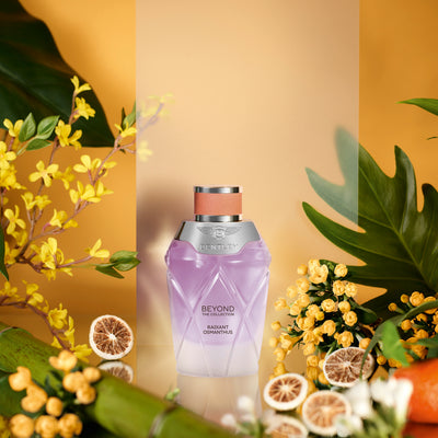 Beyond The Collection - Radiant Osmanthus