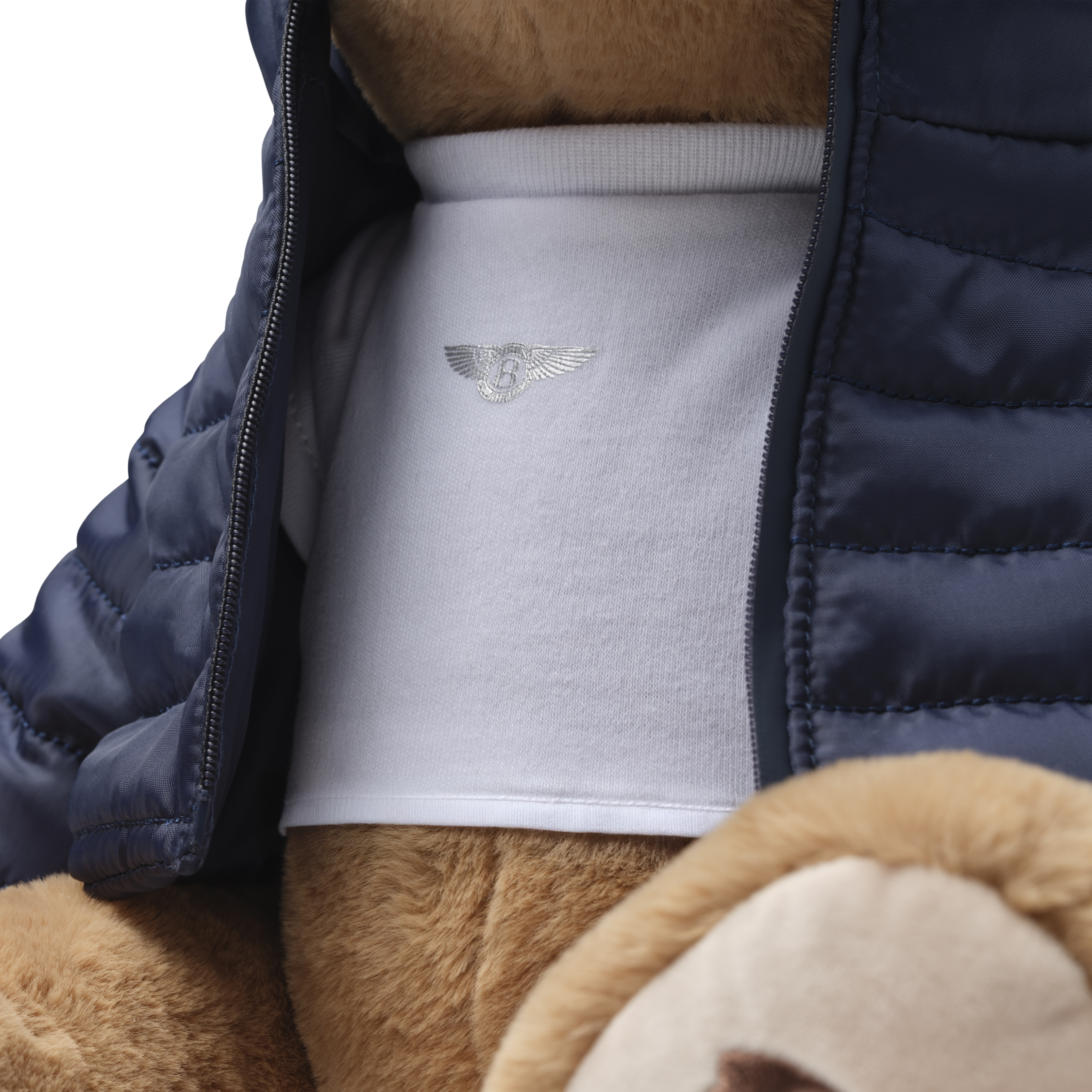 Outerwear Bear