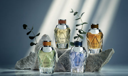 Beyond the Collection Fragrances