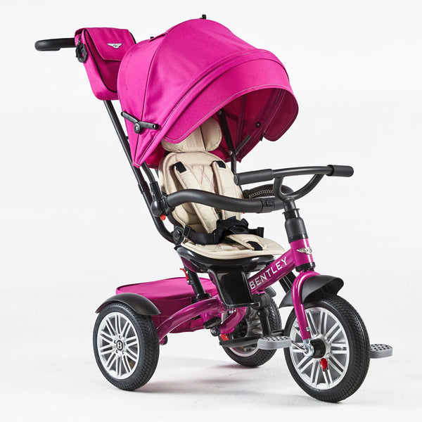 6-in-1 Trike