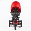 6-in-1 Trike